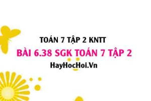 Bài 6.38 SGK Toán 7 tập 2 Kết nối tri thức